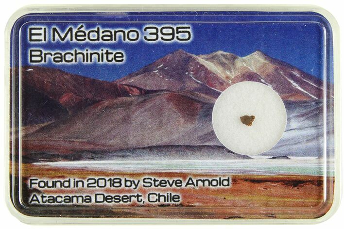 El Médano () Brachinite Meteorite Slice - Chile #285610
